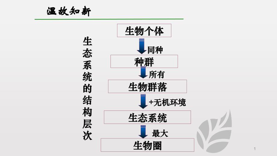 人教版生物必修三第五章第一节生态系统的结构课件_第1页