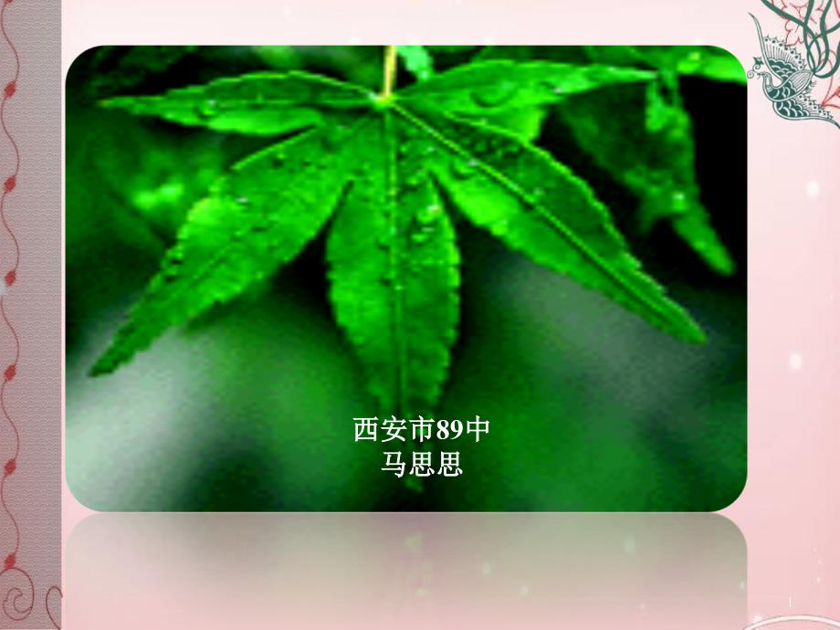 囚绿记-人教课标版课件_第1页