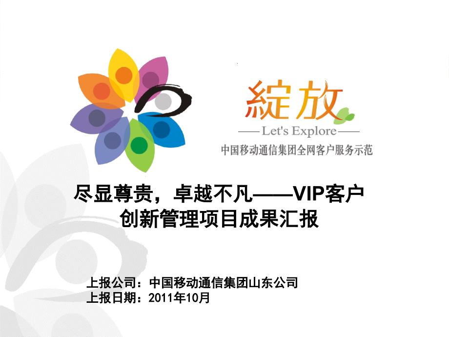 VIP客户服务体系示范项目汇报课件_第1页