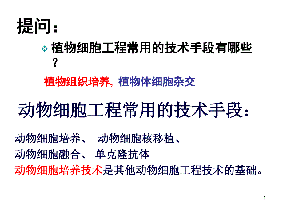 《动物细胞工程》ppt课件_第1页