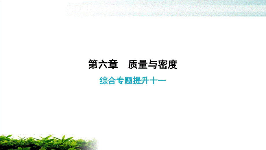 人教版初中物理《质量与密度》ppt课件_第1页