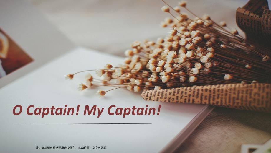 ocaptainmycaptain文体学分析课件_第1页