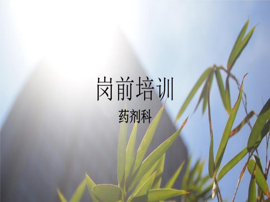 《药剂科培训》课件_第1页