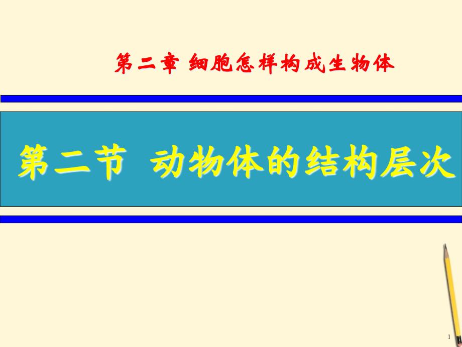 动物体结构层次课件_第1页