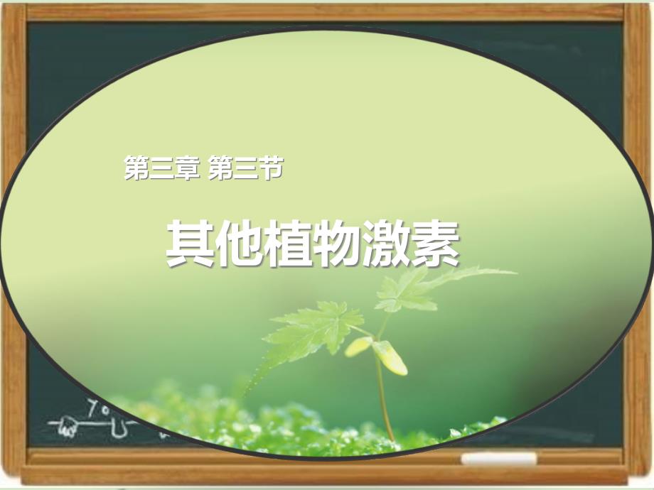 人教版高中生物必修三《其他植物激素》ppt课件_第1页