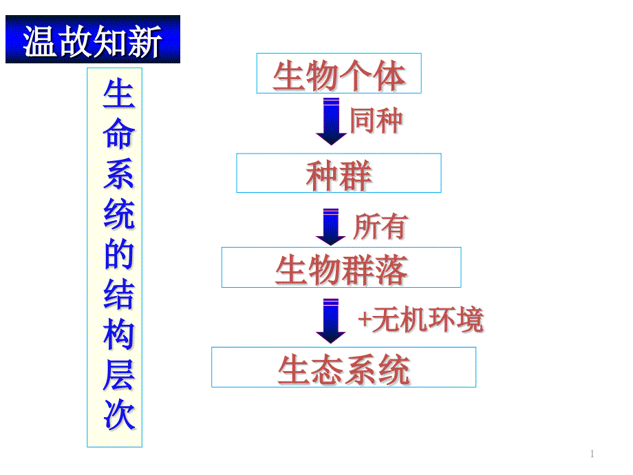 一生态系统的结构课件_第1页