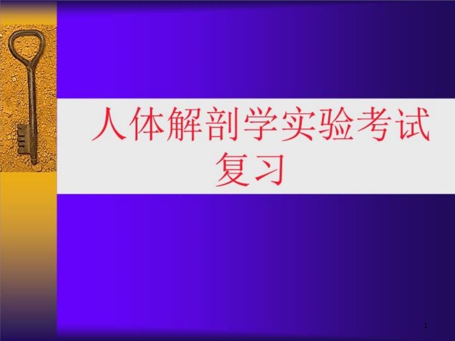 人体解剖学实验考试复习--课件_第1页