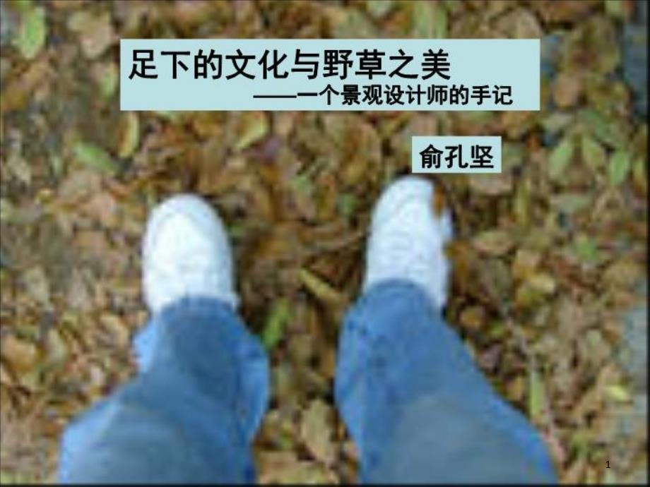 《足下的文化与野草之美》ppt课件_第1页