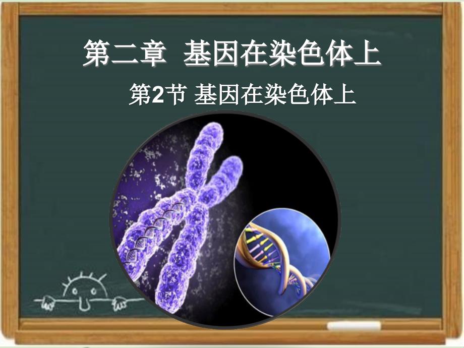 人教版高中生物必修二《基因在染色体上》ppt课件_第1页