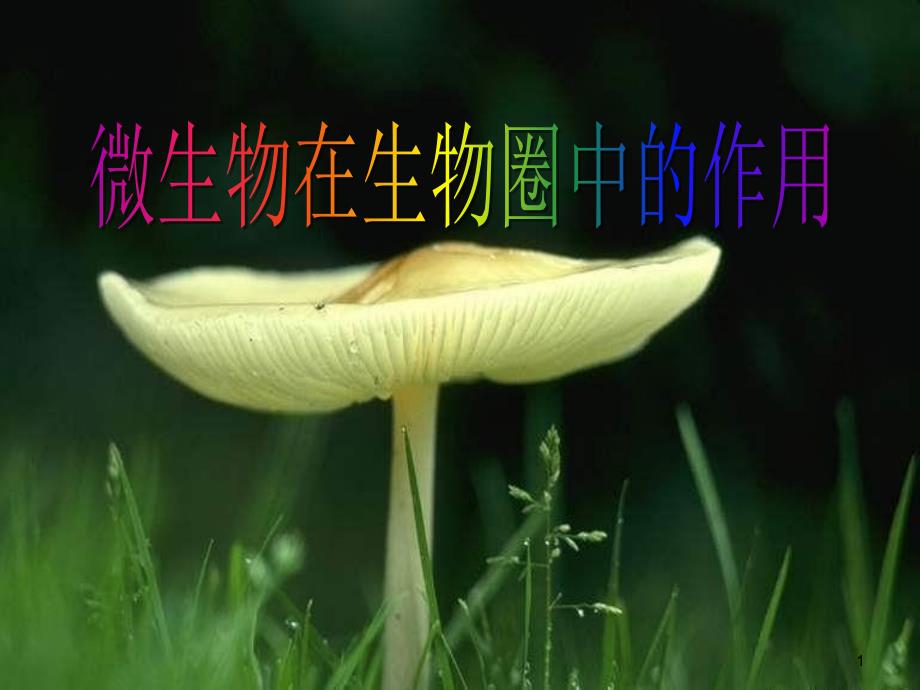 《微生物在生物圈中的作用》课件_第1页