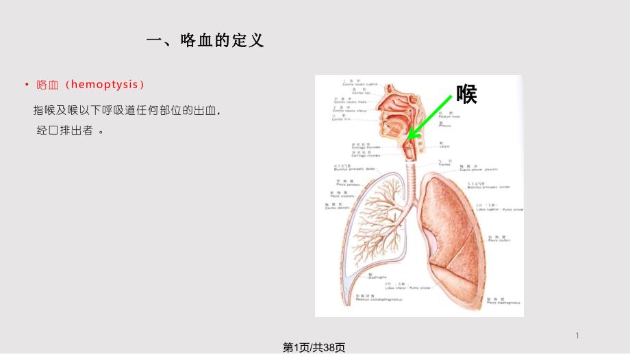 咯血的诊断思路及紧急抢救流程课件_第1页