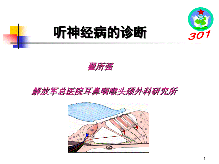 听神经病的诊断课件_第1页