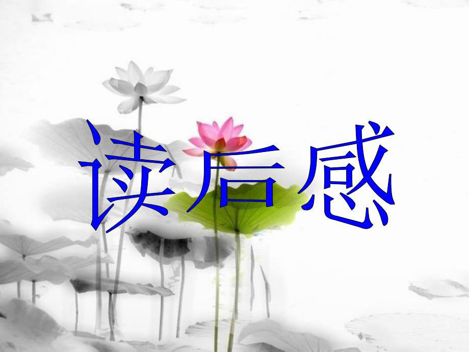 《读后感-》作文公开课教学课件_第1页