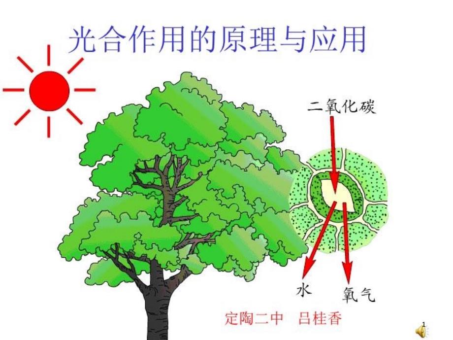 光合作用的原理和应用ppt课件_第1页