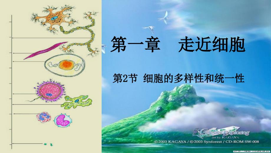 (新教材)高中生物《细胞的多样性和统一性》完美ppt课件人教版_第1页