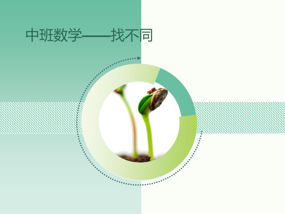 中班数学_找不同课件_第1页