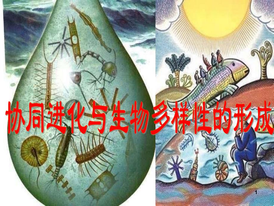 (新教材)高中生物《协同进化与生物多样性的形成》ppt公开课课人教版件课件_第1页