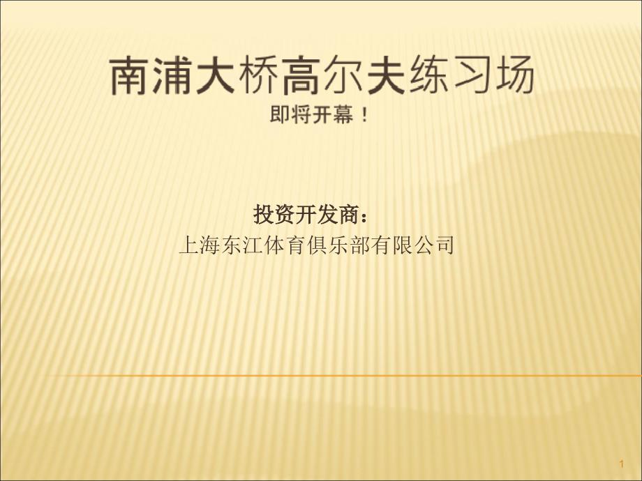 南浦大桥高尔夫练习场介绍课件_第1页