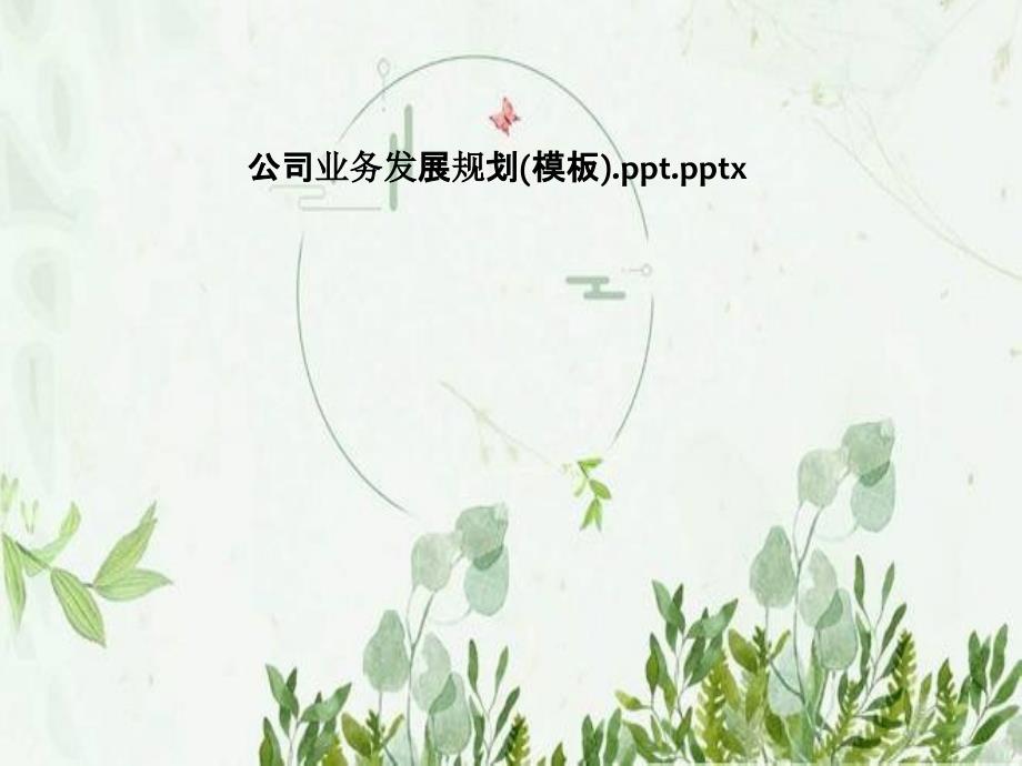 公司业务发展规划(模板)课件_第1页