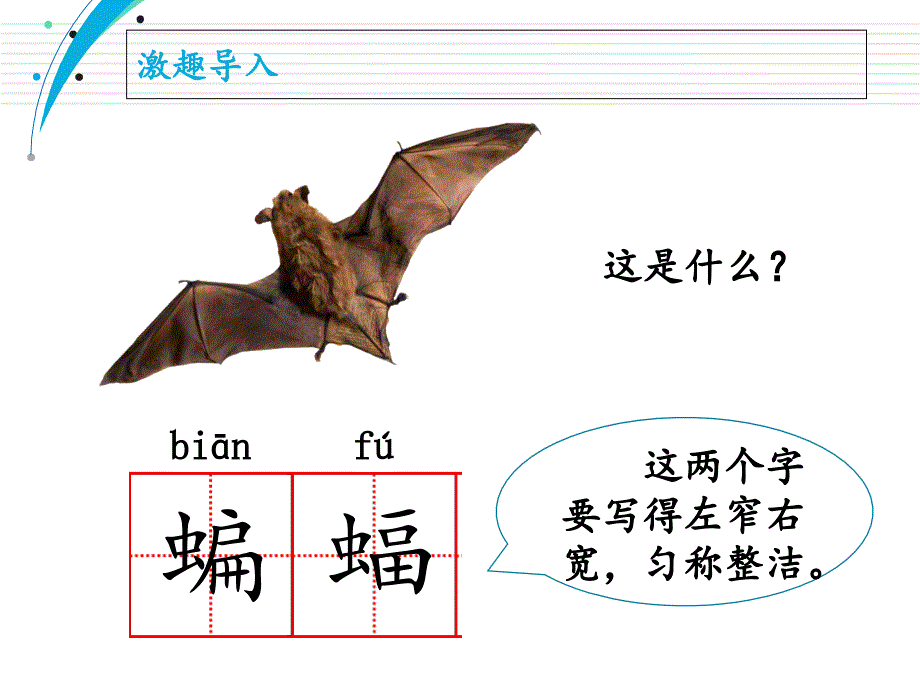 (人教部编版)小学语文《蝙蝠和雷达》专家ppt课件_第1页