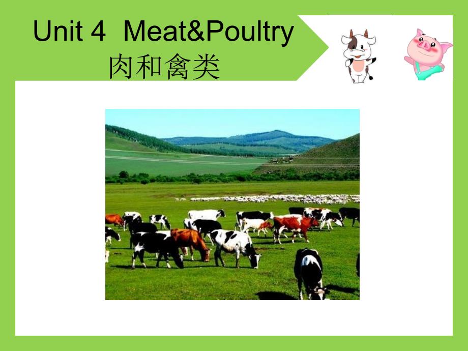 烹饪厨房英语Unit 4 MeatPoultry_第1页