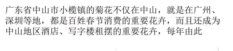 中山小榄菊更香ppt课件_第1页