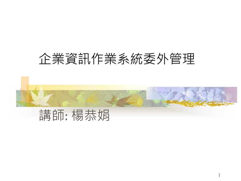 企业资讯作业系统委外管理课件_第1页