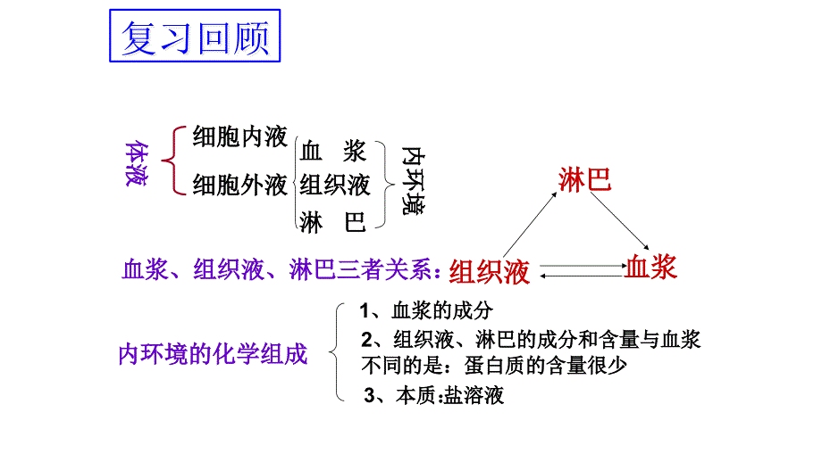 (新教材)内环境的稳态课件人教版_第1页