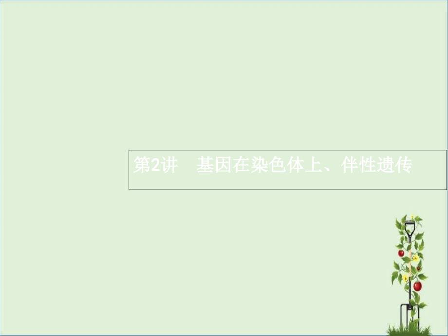 2016届高三生物一轮复习-6.2基因在染色体上、伴性遗传课件剖析_第1页