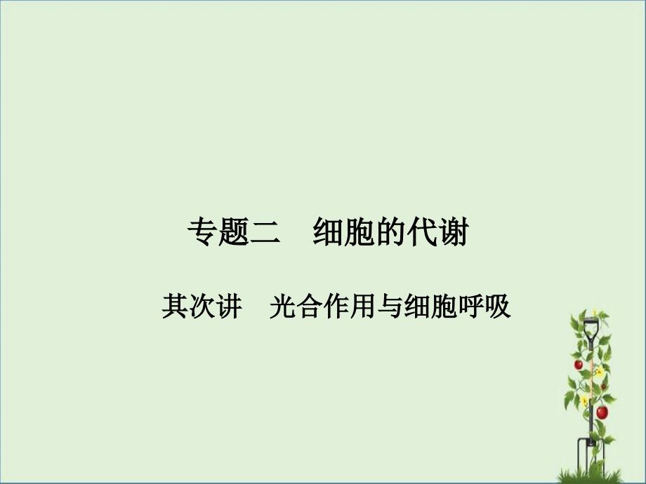 2011高三生物二轮专题复习课件：光合作用与细胞呼吸_第1页