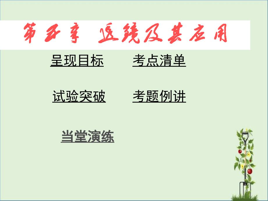 2014年中考宜昌市物理复习透镜及其应用解析_第1页