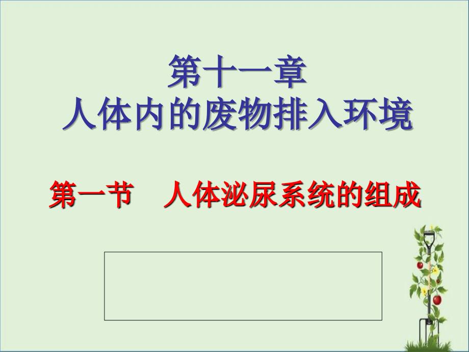 2013人体泌尿系统的组成及功能课件_第1页