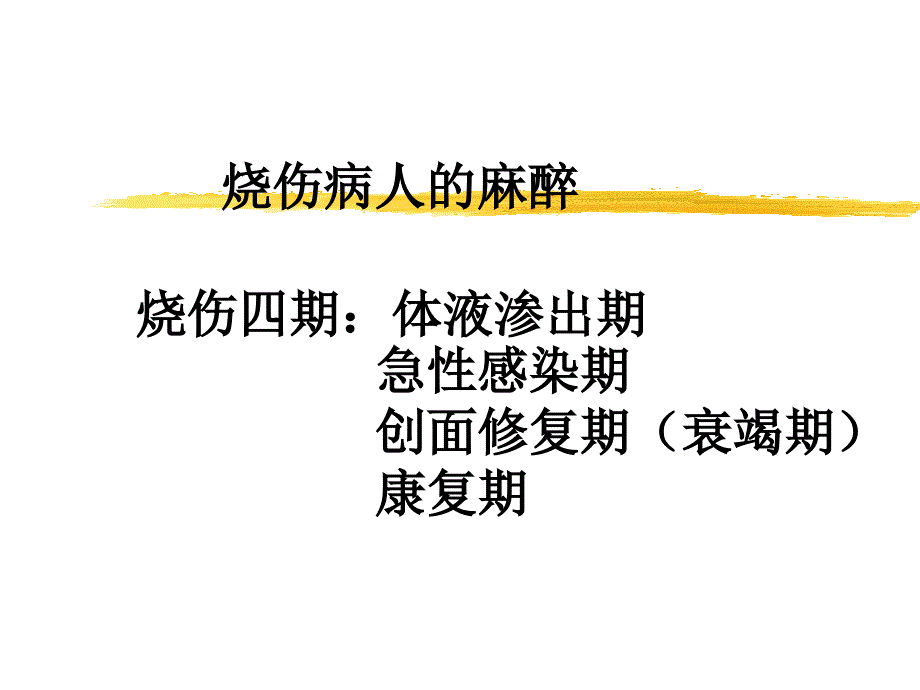 第24章烧伤病人的麻醉名师编辑PPT课件_第1页