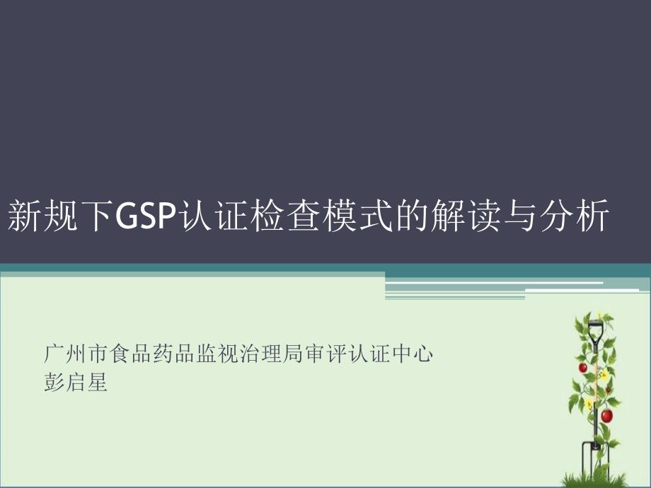 2015新规下GSP认证检查模式的解读与分析课件_第1页