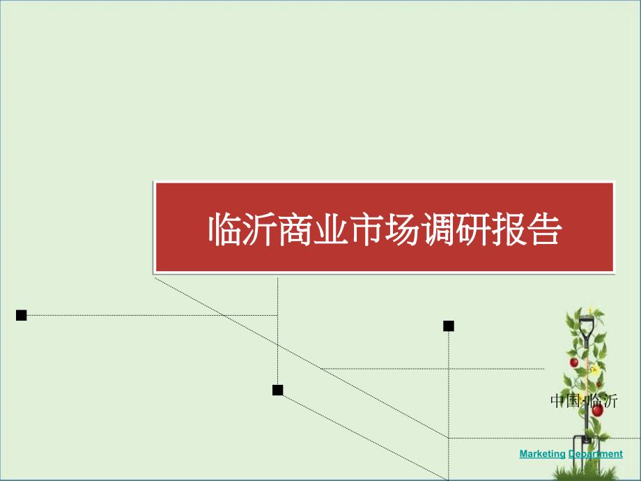 2012年临沂商业市场调研报告全解_第1页