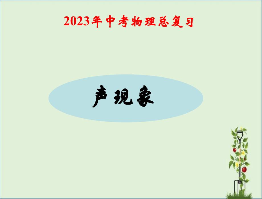 2013年中考物理总复习课件专题《声现象》_第1页