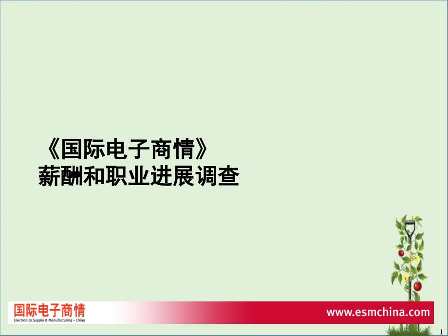 2004年中国电子行业薪酬和职业发展调查_第1页