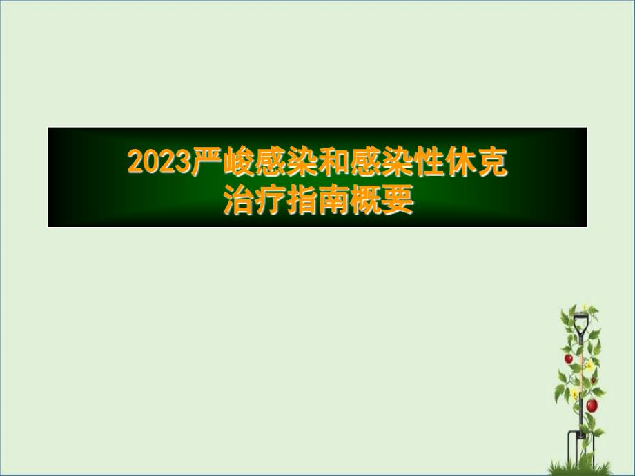 2007严重感染和感染性休克治疗指南概要_第1页