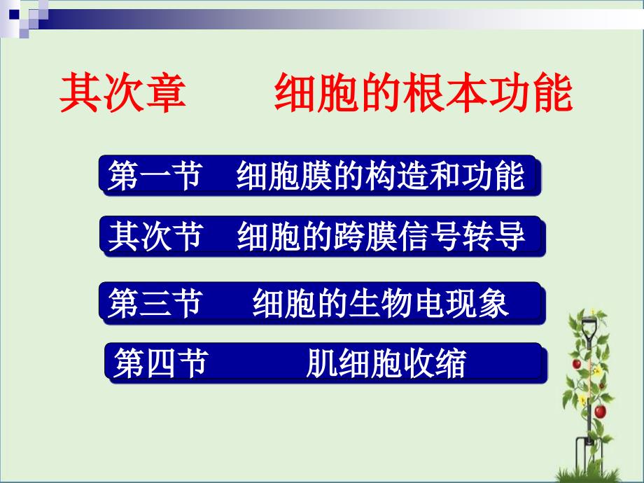 2.细胞的基本功能1_第1页