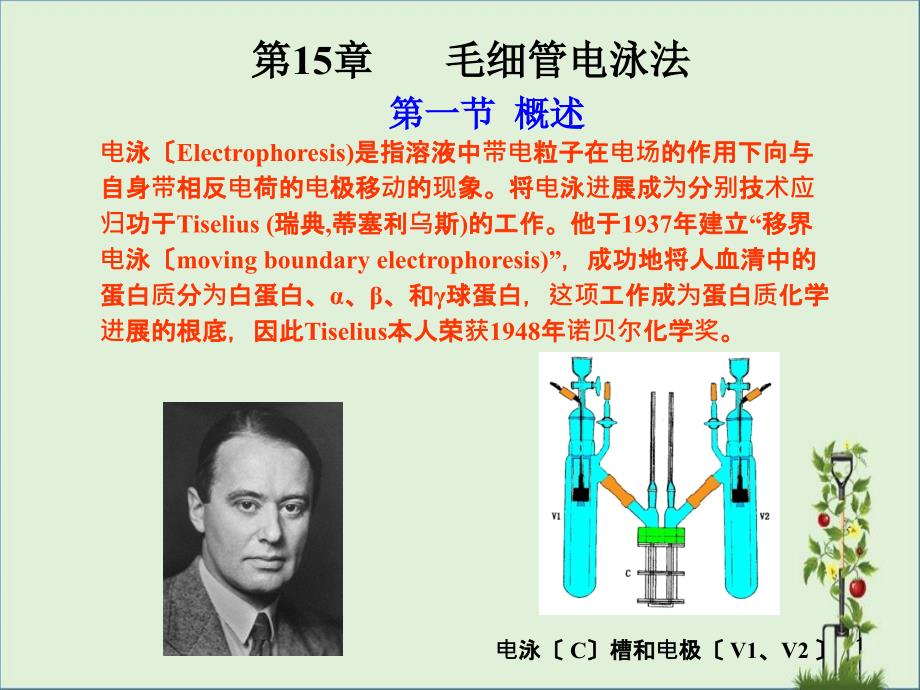 2015毛细管电泳课件_第1页