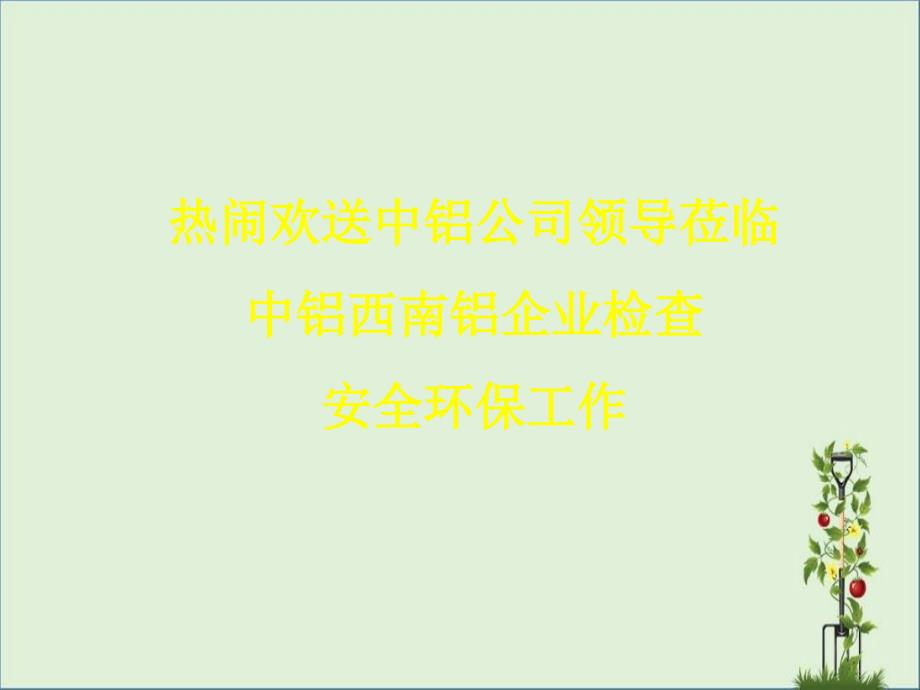 中铝西南铝企业安全环保工作汇报材料汇总_第1页