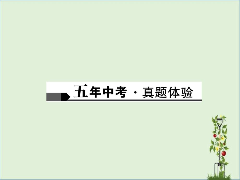 中考物理总复习第一篇考点聚焦第五讲透镜及其应用课件_第1页