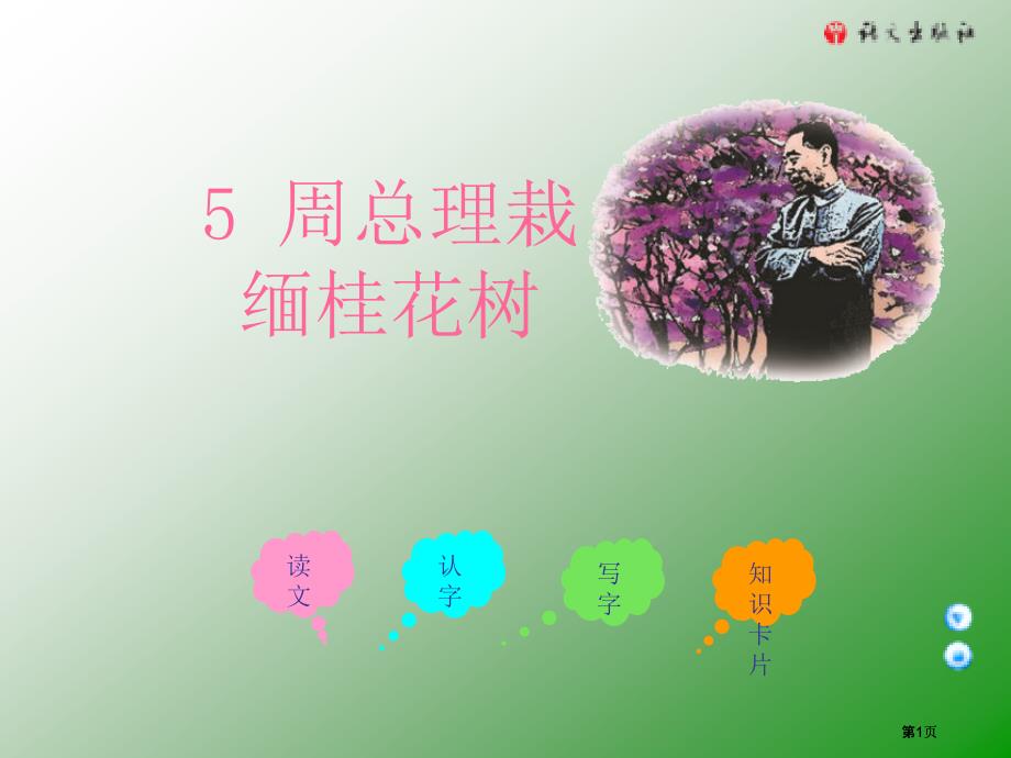 三年级上册周总理栽的缅桂花树语文A版市公开课金奖市赛课一等奖课件_第1页