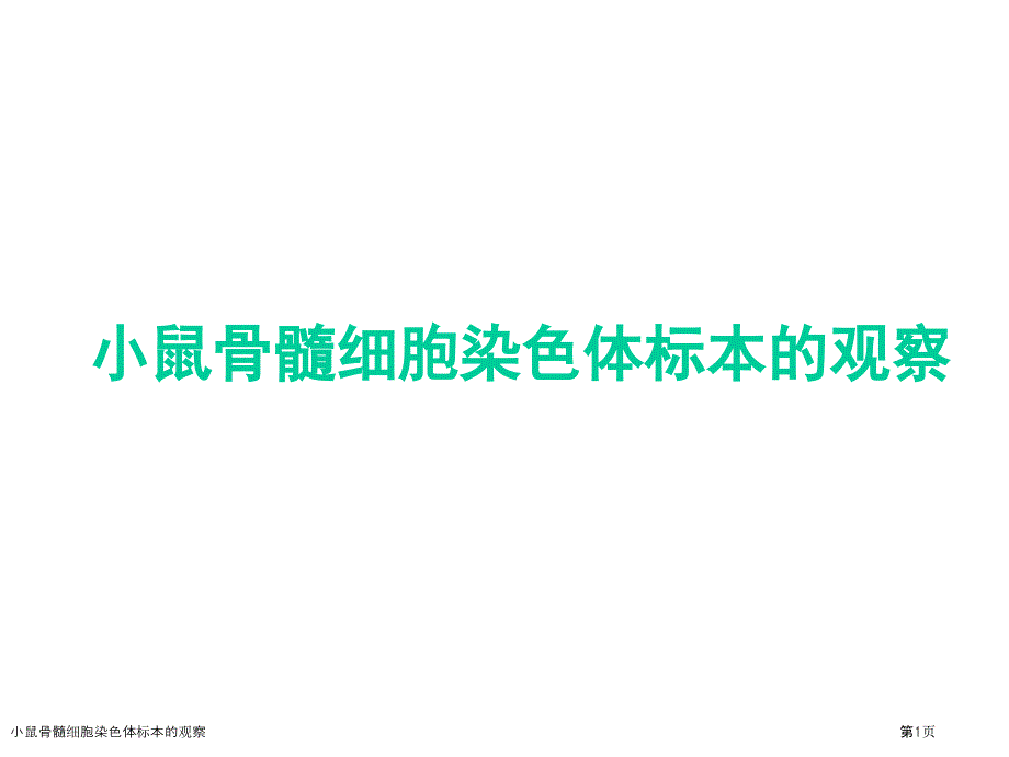 小鼠骨髓细胞染色体标本的观察_第1页