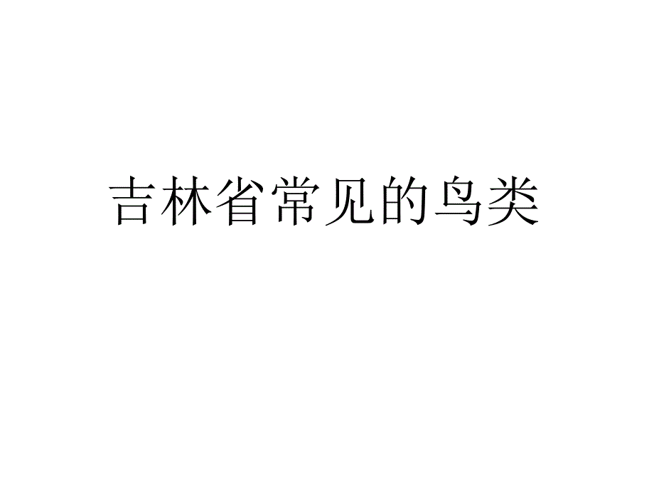 吉林省常见的鸟类_第1页