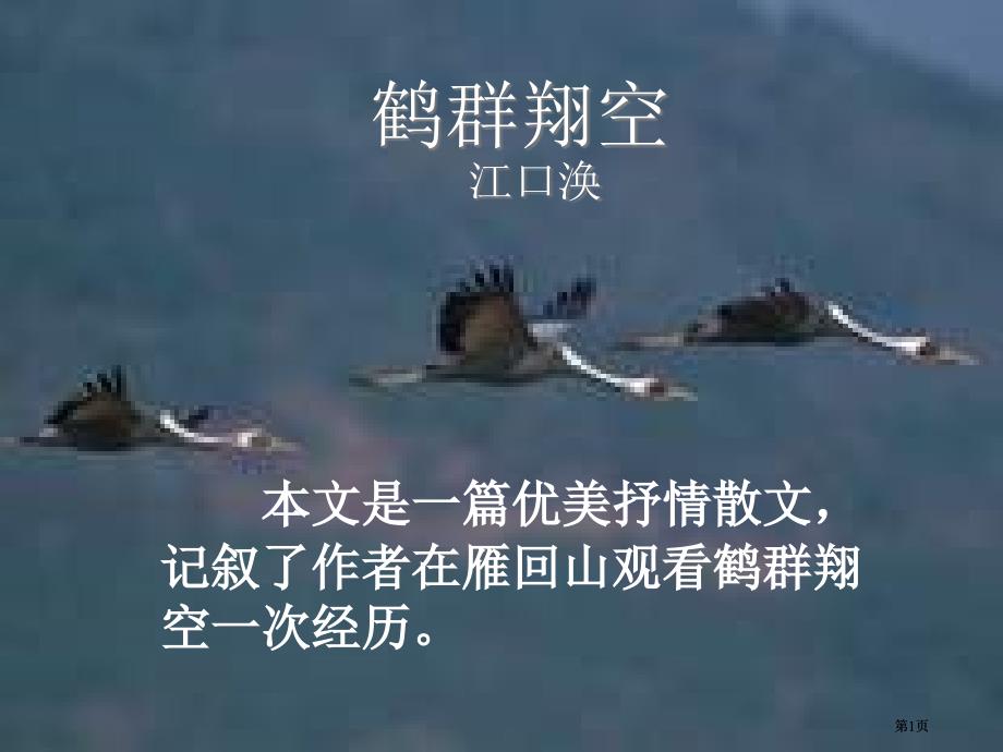 鲁教版六年级下册鹤群翔空课件4市公开课金奖市赛课一等奖课件_第1页