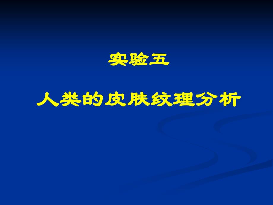 人类的皮肤纹理分析_第1页