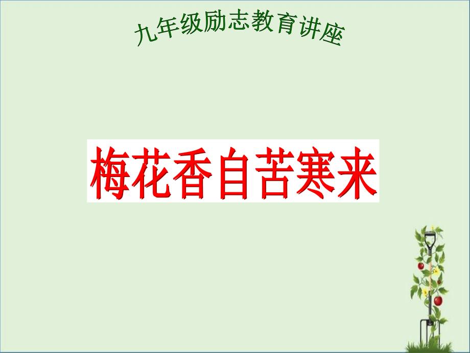 九年级-励志教育讲座-梅花香自苦寒来_第1页