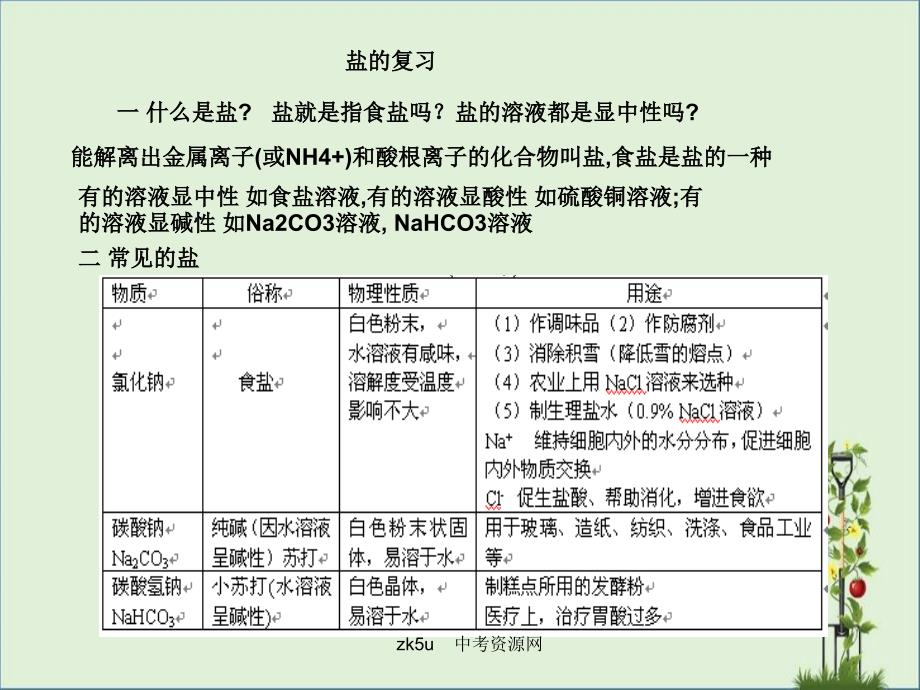 九年级科学盐复习解读_第1页