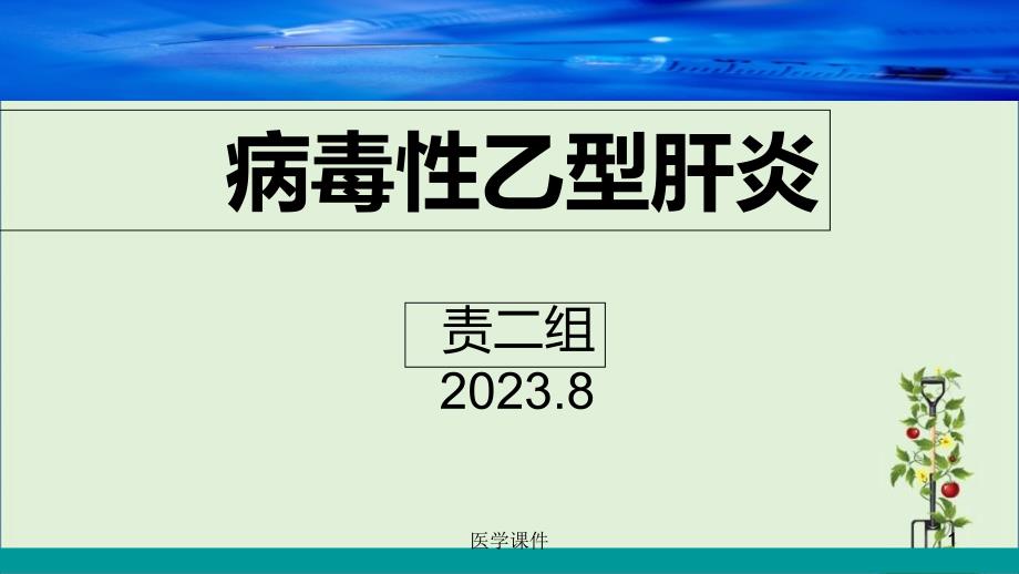 乙型肝炎患者的护理查房--课件_第1页